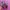 Nike Tailwind 5 x Skepta photo 2