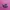Nike Tailwind 5 X Skepta