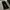 Black flared jeans photo 1