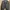 Jacket Jeans Denim photo 1
