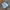 WIDE CROSS JORTS Custom By Mostion World  photo 4