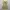 Colza Floral Tiered Ribbon Lace Dress Coquette Fairycore  photo 4