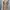 Colza Floral Tiered Ribbon Lace Dress Coquette Fairycore 