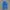 BLUE JEANS CARGO By Mostion World  photo 5