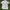 Nike Golf Poloshirt photo 2