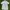 Nike Golf Poloshirt