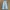 LOWKEY FLARE DENIM By Mostion World photo 1
