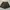 Pants Cargo Pendek photo 1