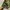 Us army ecwcs gen 1 camouflage military jacket photo 8