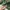 Us army ecwcs gen 1 camouflage military jacket photo 7
