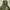 Us army ecwcs gen 1 camouflage military jacket photo 3