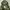 Us army ecwcs gen 1 camouflage military jacket photo 4