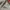 Vintage 90s nascar dale jr budweiser sweatershirt photo 4