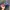 jeff gordon nascar hats photo 2
