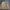 Vintage Y2K Harrington jacket Pria cream tan photo 1