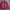 Vintage Y2K Harrington jacket Pria red photo 2