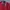 Vintage Y2K Harrington jacket Pria red photo 3