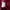 Vintage Y2K Harrington jacket Pria red photo 5