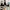 Nike sb force 58 photo 3