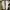 Nike sb force 58 photo 6