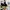 Nike sb force 58 photo 4