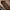 GUCCI HORSEBIT MEDIUM BROWN photo 4