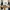adidas Samba XLG White Black Gum photo 1