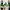 nike x ambush green white photo 3
