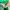 nike x ambush green white photo 4