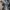 8seconds Luxury Casual Suit Pria black gray photo 2
