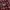 Michiko London Jeans Vintage Y2K Casual shirt Pria burgundy photo 3