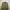 Pierre Cardin Minimalist Casual Suit Pria cream tan photo 2