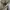 Pierre Cardin Minimalist Casual Suit Pria cream tan photo 6