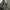 Pierre Cardin Minimalist Casual Suit Pria cream tan photo 3