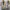 Pierre Cardin Minimalist Casual Suit Pria cream tan photo 1