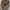 OMEGA Minimalist Casual Suit Pria tan brown photo 5