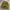 Stussy stock cuff beanie hat photo 1