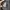 ZioZia Minimalist Casual Suit Pria black gray photo 4