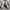 Nike sacai size 42 photo 3