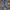 Basic Slim Fit Blue Jeans –  (Preloved)