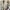 FACETASM Minimalist Casual Blazer Pria cream tan photo 1