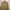 FACETASM Minimalist Casual Blazer Pria cream tan photo 2