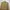 FACETASM Minimalist Casual Blazer Pria Cream Tan