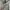 Nobre Uomo Minimalist Casual Suit Pria cream tan photo 6
