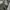Nobre Uomo Minimalist Casual Suit Pria cream tan photo 3