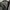 Nobre Uomo Minimalist Casual Suit Pria cream tan photo 5