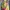 Another Shop Vintage Casual Maxi Dress Wanita Multicolor
