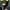 orSlow Biker Casual Harrington jacket Pria navy photo 4