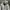 Salomon Vintage Bomber jacket Pria gray photo 2