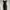 Luxury Evening dress Wanita black photo 1